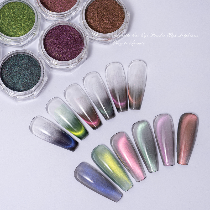 HNDO 10-kolorowy puder magnety – Nail Glitter Chrome recenzja i cena